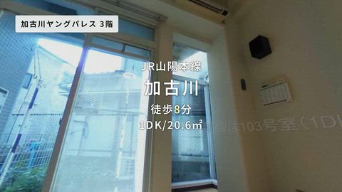 動画