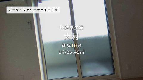 動画