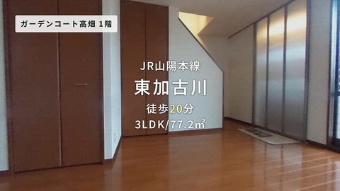 動画