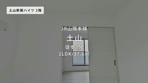 動画