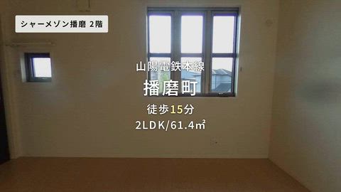 動画