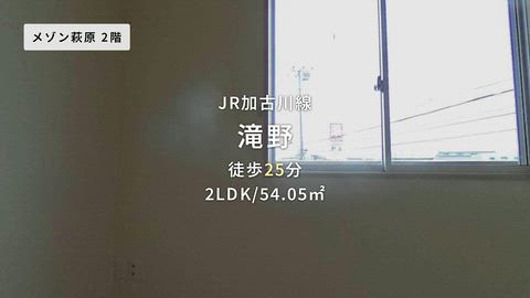 動画