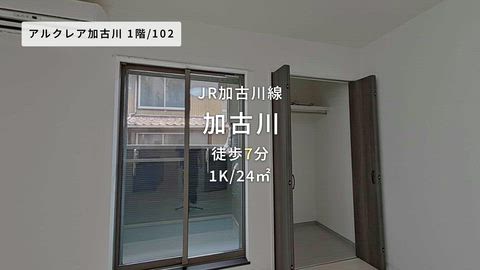 動画
