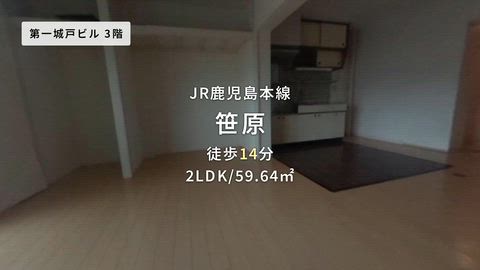 動画