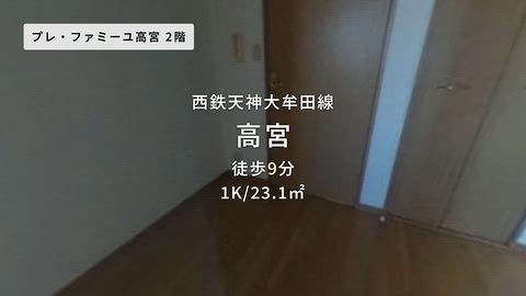 動画