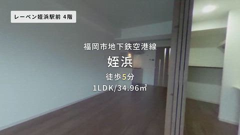 動画