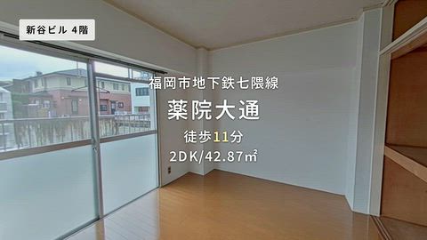 動画