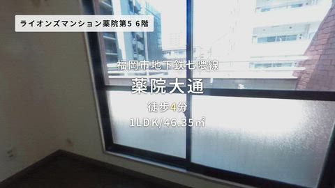 紹介ムービー