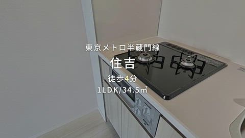 動画