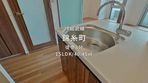 動画