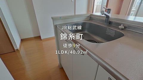 動画
