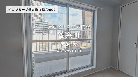 動画