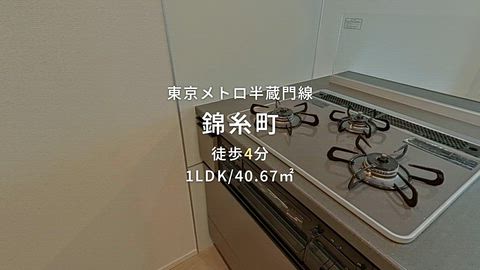 動画