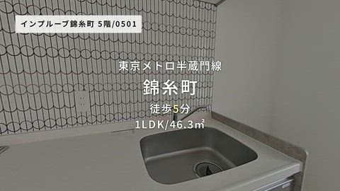動画