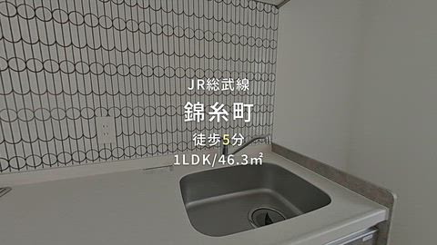 動画