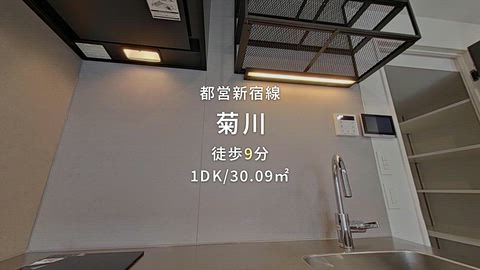 動画