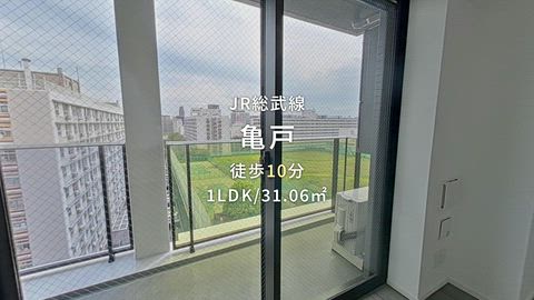 動画