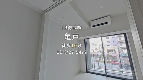 動画