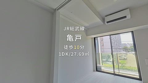 動画