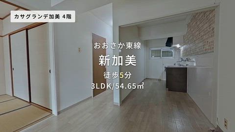 動画