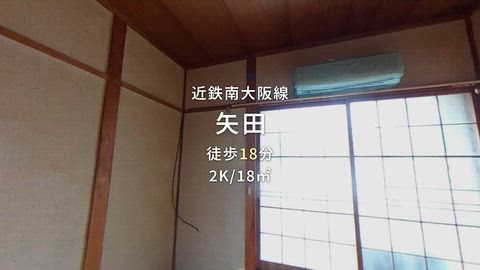 動画
