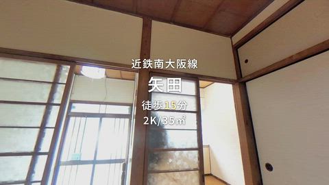 動画