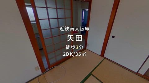 動画