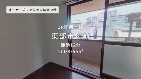 動画