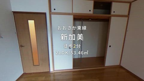 動画