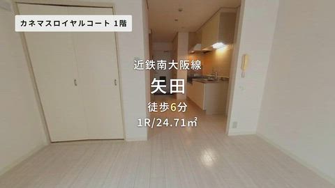 動画