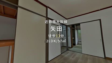 動画