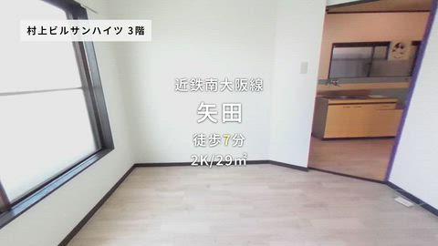 動画