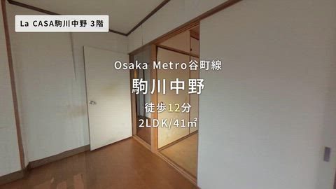 動画