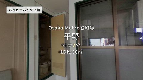 動画
