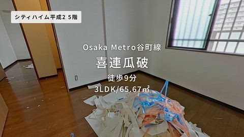動画