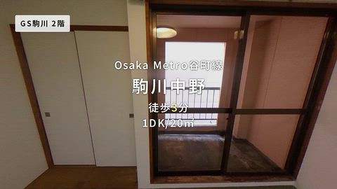動画