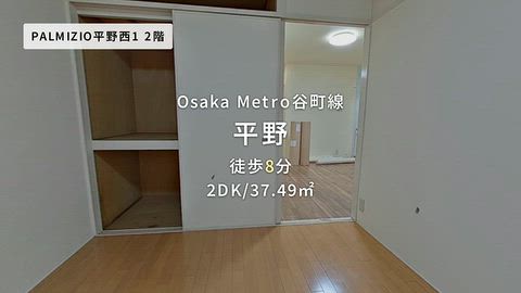 動画