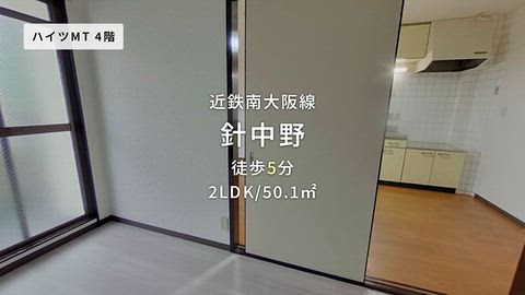 動画