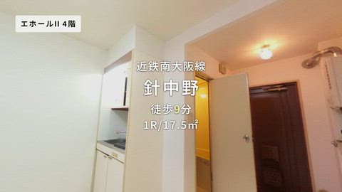 動画
