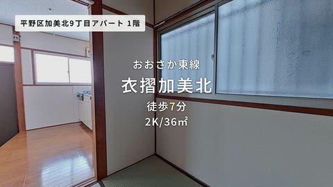 動画