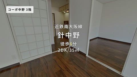 動画