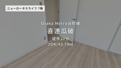 動画