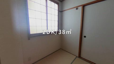 動画