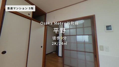 動画