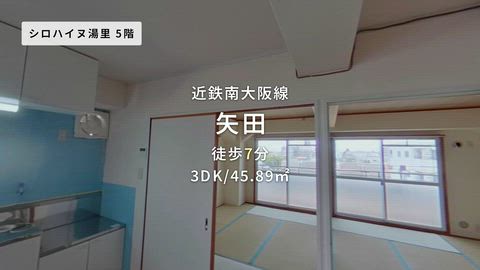 動画
