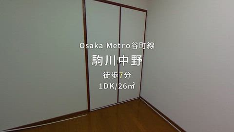 動画
