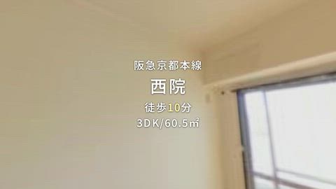 紹介ムービー