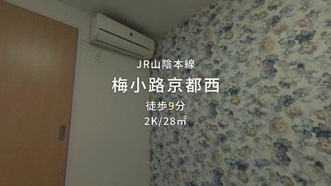 動画