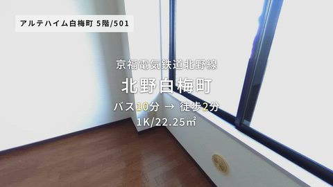 動画