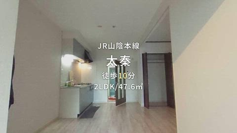 動画